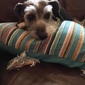 Meet your Posher, April